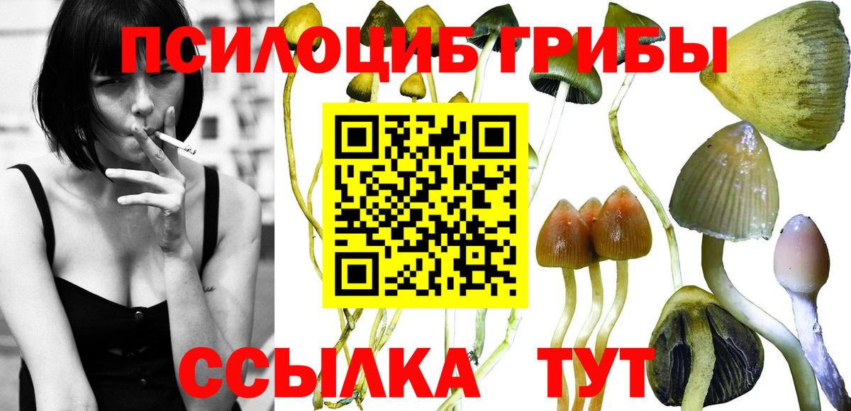 Псилоцибиновые грибы ЛСД Ангарск